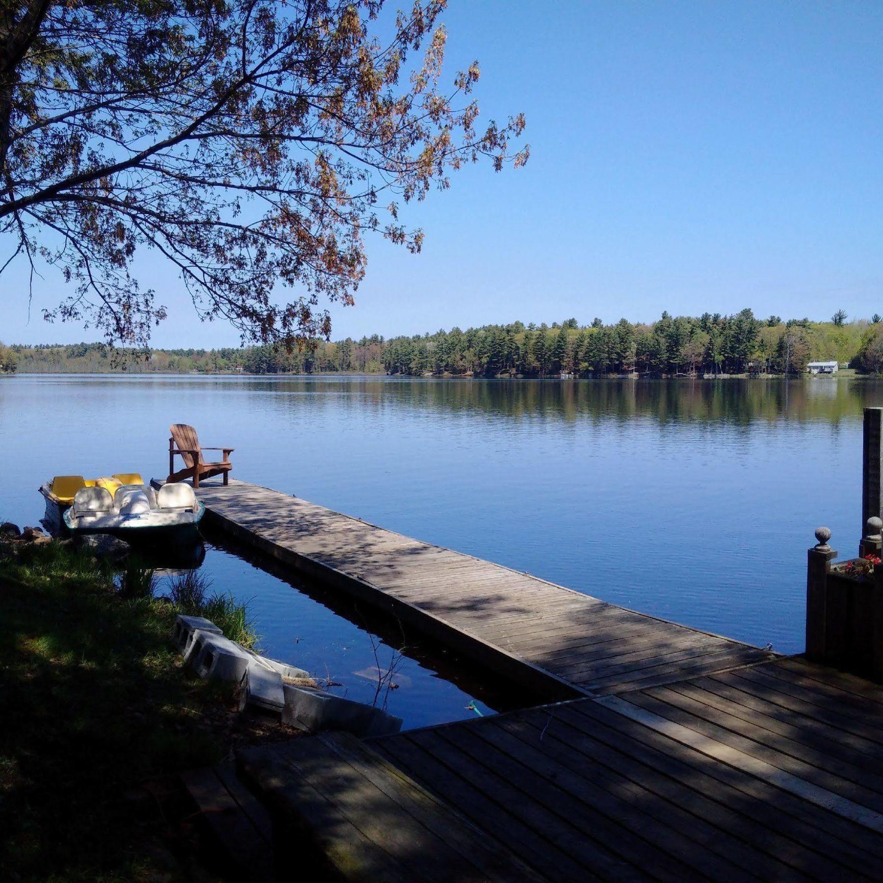 Black Lake Cabins Torrance Ngoại thất bức ảnh