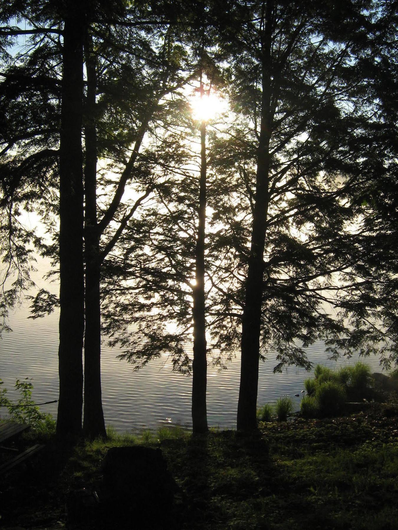 Black Lake Cabins Torrance Ngoại thất bức ảnh
